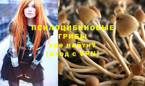 дживик Менделеевск