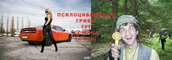 прущие крисы Куйбышев