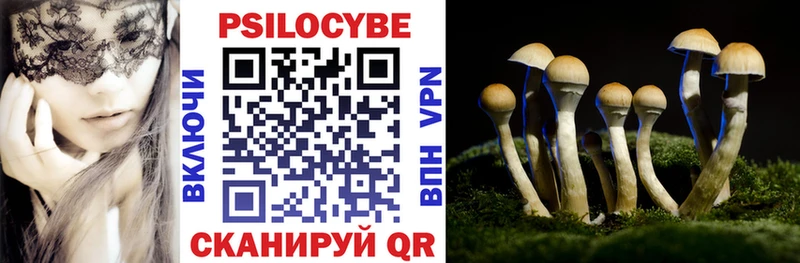 где продают наркотики  ссылка на мегу как войти  Псилоцибиновые грибы прущие грибы  Называевск 